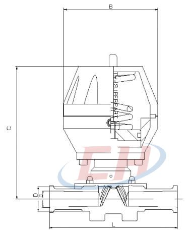 氣動(dòng)衛(wèi)生級隔膜閥結(jié)構(gòu)圖